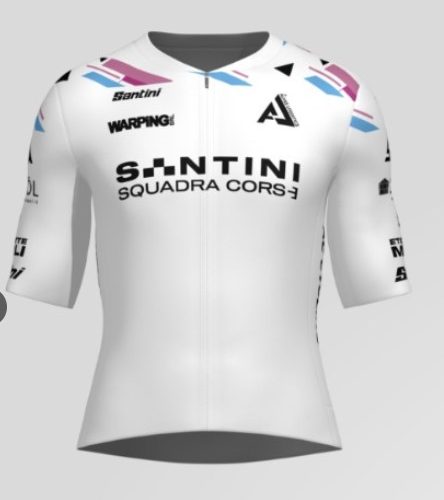 Maglia estiva team